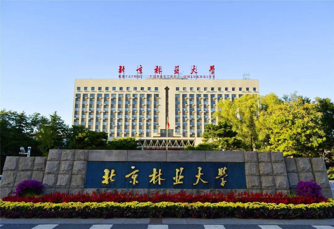 北京林业大学校园